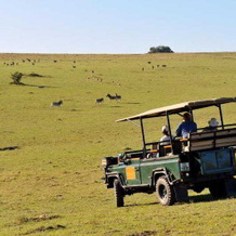 Pollards Inn Hotel, Kwantu Game Reserve, Сидбери — фото 5