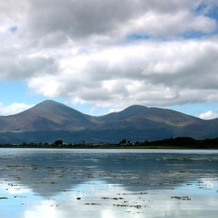 Forest View - Castlewellan, 安斯伯勒 — 照片 2