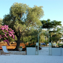 Ulivi Al Sole - Charming B&B, Francavilla Fontana — photo 2