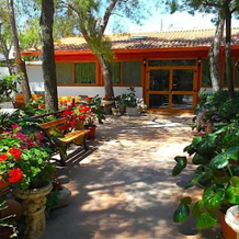 Camping Villaggio Lido Del Gargano, 罗迪加尔加尼科 — 照片 2