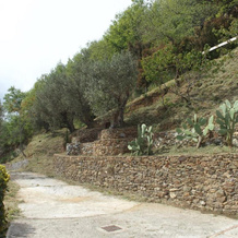 Villa, 诺切拉-泰里内塞 — 照片 2