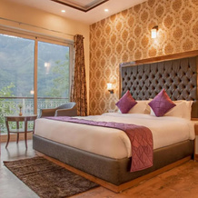 Hotel New Spring View, Tatapani — photo 5