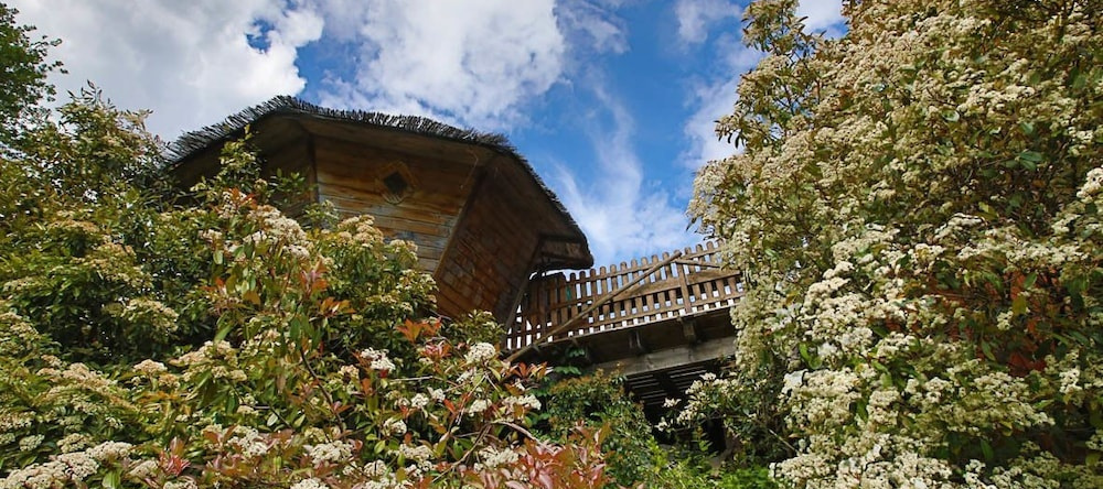 Gite Chêne - O'Reiller, Boffres — photo 1