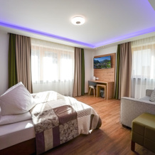 Pension Patricia (Kaprun), Kaprun — photo 4