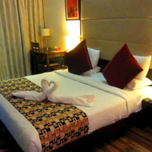 Le Tokyo Hotel Sanand, Sanand — photo 5