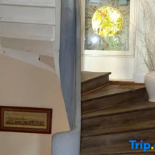 Maison l'Amerique Welcome You to One of Their Rooms. Dogs Are Also Welcomed, Saint-Jean-le-Blanc — photo 3
