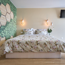 S Saunoy Flat, Murom — photo 2