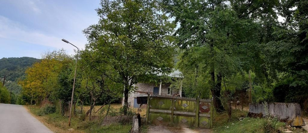 Muse House, Амбролаури — фото 1