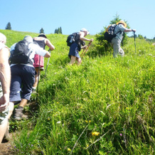 Wanderhotel Grüner Baum, 巴赫 — 照片 4