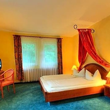 Meister Bär Hotel Vogtland, 福格特兰地区赖兴巴赫 — 照片 3