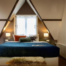 Haarlem Hotelsuites, Харлем — фото 4