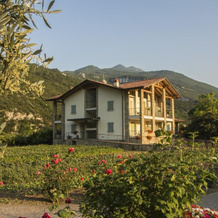 Agritur Stefenelli, 纳戈托尔博莱 — 照片 2