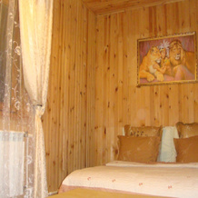 Aleksandriya-Vnukovo Guest House, 上阿卡托沃 — 照片 4