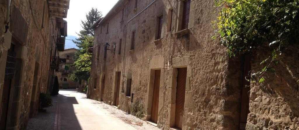 Ca La Remei, La Vall d'en Bas — photo 1