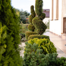 Lavanda Guest house, Tamsh — photo 3