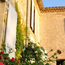 Chateau Lestange, 坎萨克 — 照片 5