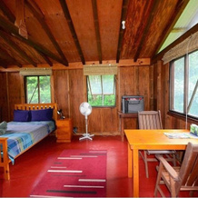 Daintree Rainforest Bungalows, Cow Bay — photo 4
