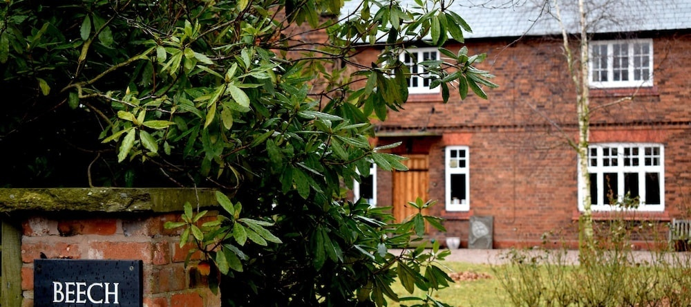 Beech Hill B&B, Northwich — photo 1