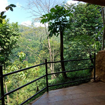 On The Rocks Bungalows, Restaurant And Jungle Trekking Tours - From May To September Only Stay Here, Букит Лаванг — фото 4