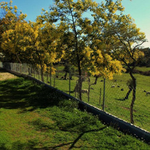 Monte da Fonte Santa de São Luís, 布朗库堡 — 照片 5