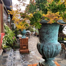 A Hotel Boutique Pelluhue, 佩柳韦 — 照片 3