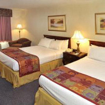 Point Plaza Suites at City Center, 纽波特纽斯 — 照片 5