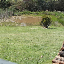 Creswick Cabin Retreat, 凯西克 — 照片 3