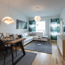 Tuomas´ luxurious suites, Nouka, 罗瓦涅米 — 照片 3