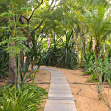 The Dune Eco Beach Village and Spa, 卡拉佩特 — 照片 4