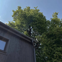 Гостевой Дом Barn House, Станки — фото 4