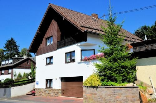 Ferienwohnung Eudenbach, Альсбах — фото 1