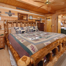 Bear Nekkid 1 Bedroom 1 Bathroom Cabin, Блафф-Маунтин — фото 2
