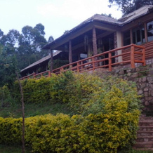Bwindi Forest Lodge, Национальные парки западной Уганды — фото 3