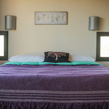 Arriba del Valle - Casas de Altura, Potrerillos — photo 3