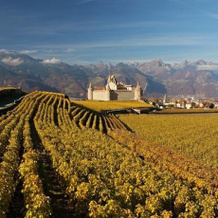 Auberge Communale de la Couronne, 艾弗 — 照片 3