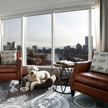 The Liberty, a Marriott Luxury Collection Hotel, Boston, 波士顿 — 照片 2