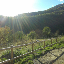 Casa Rural Can Soler De Rocabruna, Кампродон — фото 5