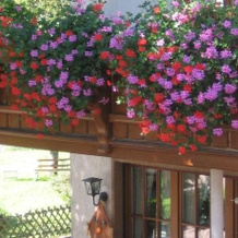 Gasthaus Zum Hirschen, 西蒙斯瓦尔德 — 照片 3