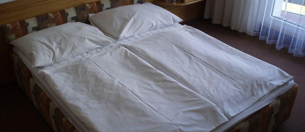 Hotel Ski, 新梅斯托纳莫拉维 — 照片 1