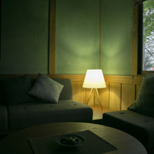 Shukubo Kawaseminoshou - The Kingfisher resort -, 竹田 — 照片 3