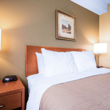 Comfort Inn & Suites, Лэнгли — фото 4
