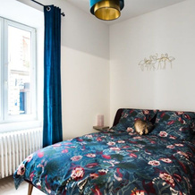 Théâtre Sinne Luxury Apartment, Мюлуз — фото 5