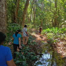 Arippa Eco Tourism-Stay Inside Forest, Punalur — photo 2