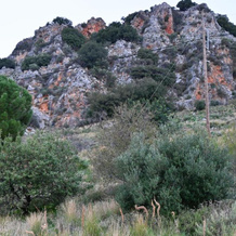 Kritsa Village Home, Kritsa — photo 5