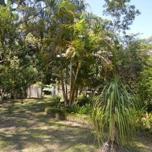 Halcyon Retreat, Woolgoolga — photo 4