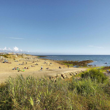 Appartement Bretignolles-sur-Mer, 2 pièces, 4 personnes - FR-1-231-159, 滨海布雷蒂尼奥勒 — 照片 3