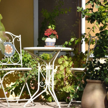 The OLive Tree, Newe Ilan — photo 5