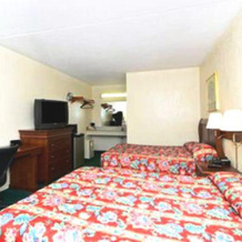 Americas Best Value Inn - Cullman, Калман — фото 5