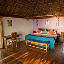 Agonda Villas, Южный Гоа — фото 4