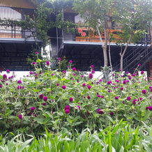 Areca Bungalow, Phong Nha — photo 2
